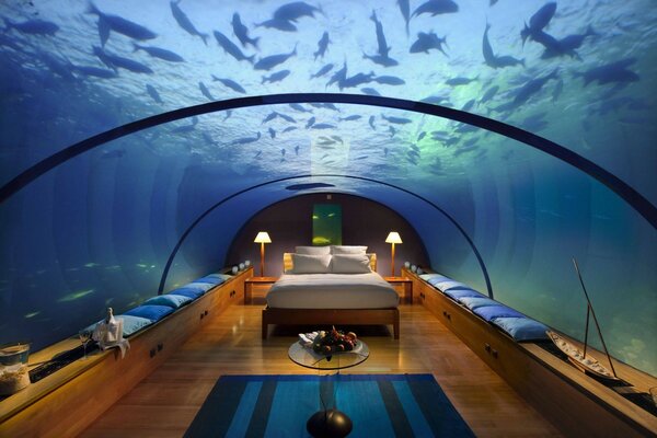 There is a real aquarium in the room