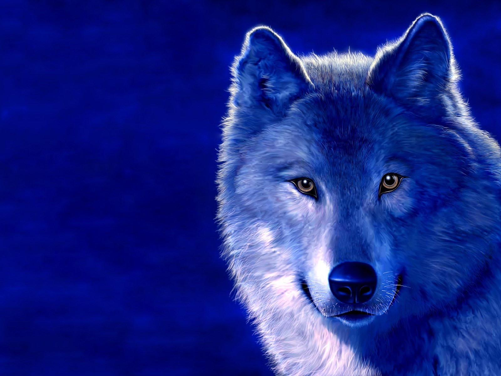 wolf picture blue