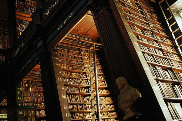 Schöne Bücher in einer großen und geräumigen Bibliothek