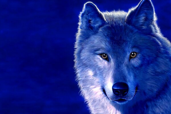 Loup sur fond bleu