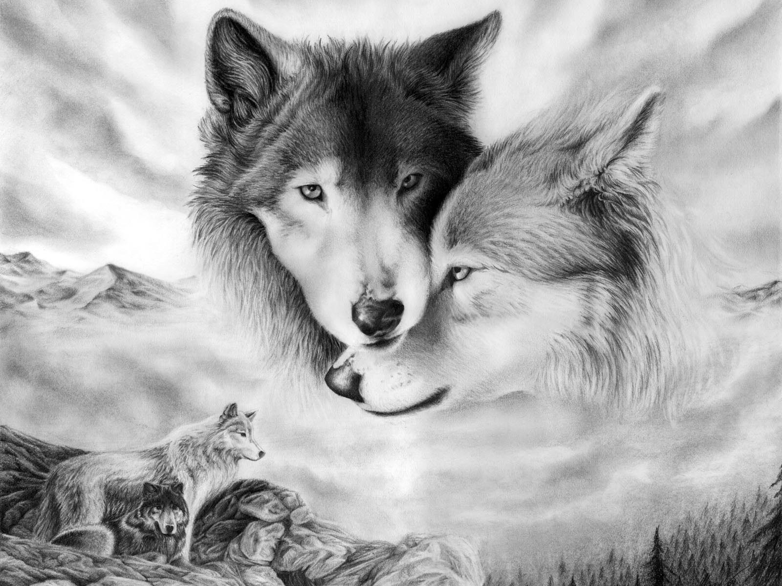 dibujo lobos pareja ternura amor mirada