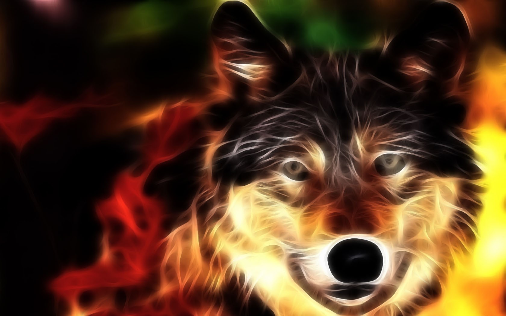 lobo fuego animales