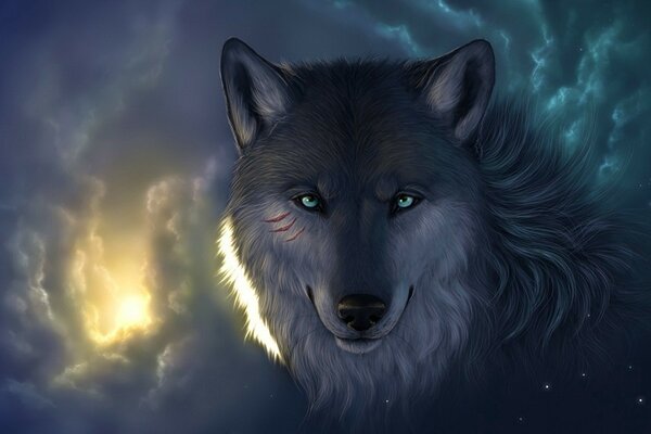 The Wolf under the stars and clouds