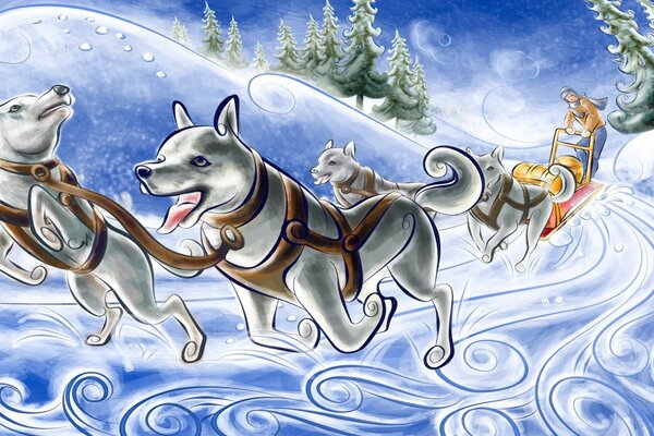A merry team of huskies in winter