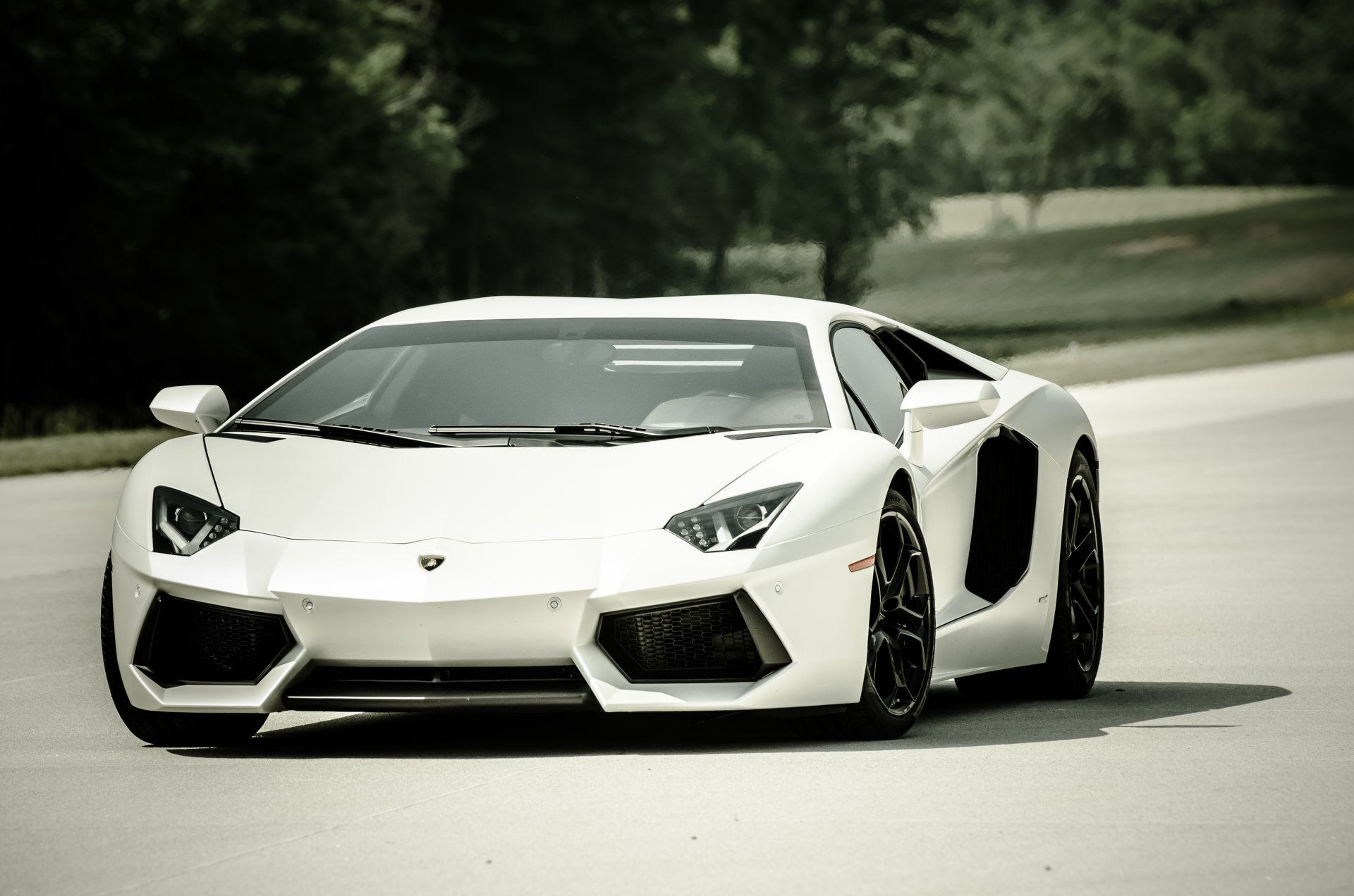 lamborghini aventador lp700-4 bianco lamborghini aventador vista frontale ombra strada alberi