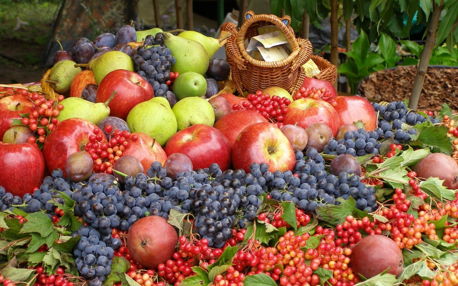 viburno uva pere mele prugne frutta bacche