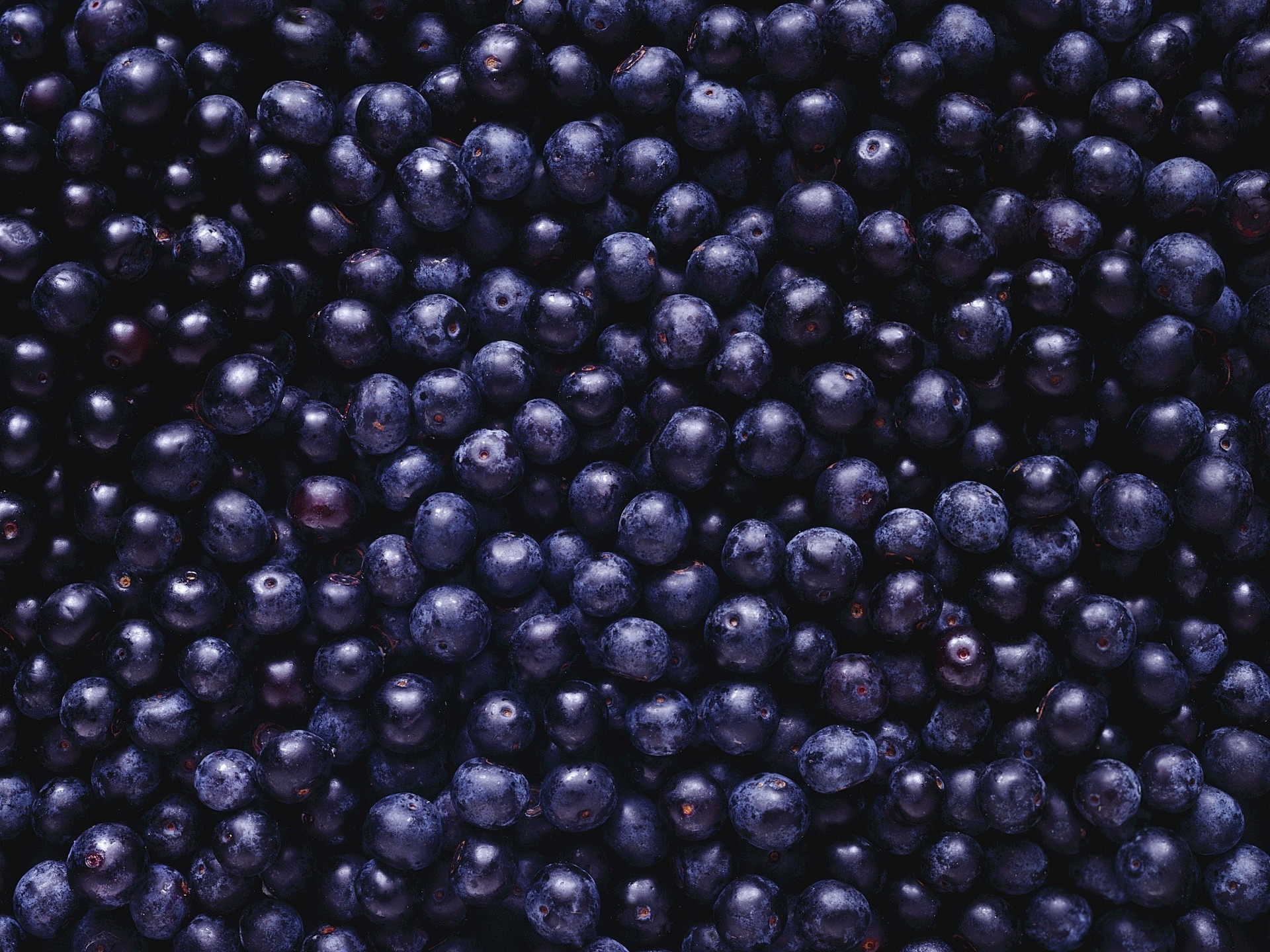 background berries blueberrie