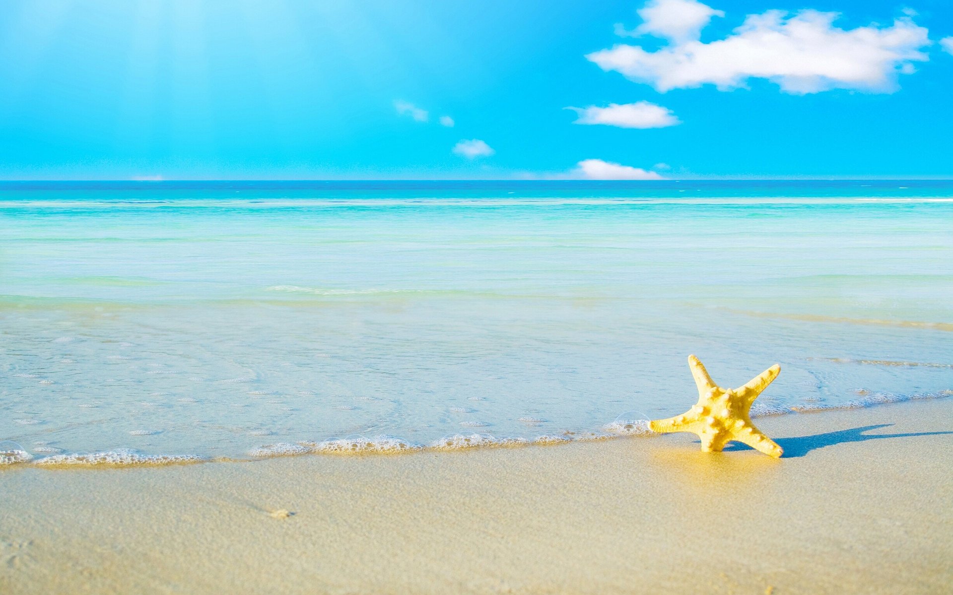 ea beach horizon sand starfish the sky