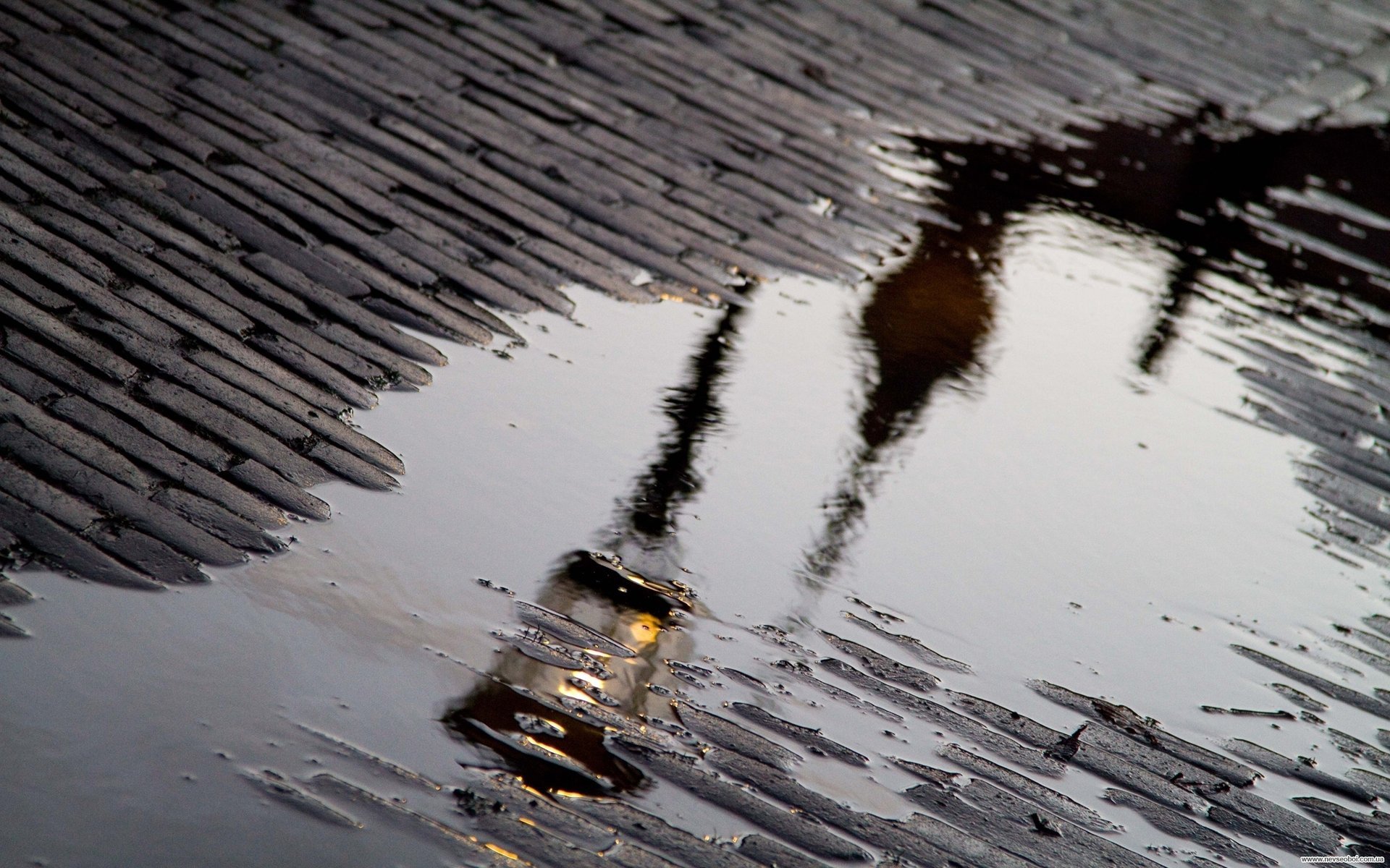 trottoir lanterne réflexion flaque d eau pluie