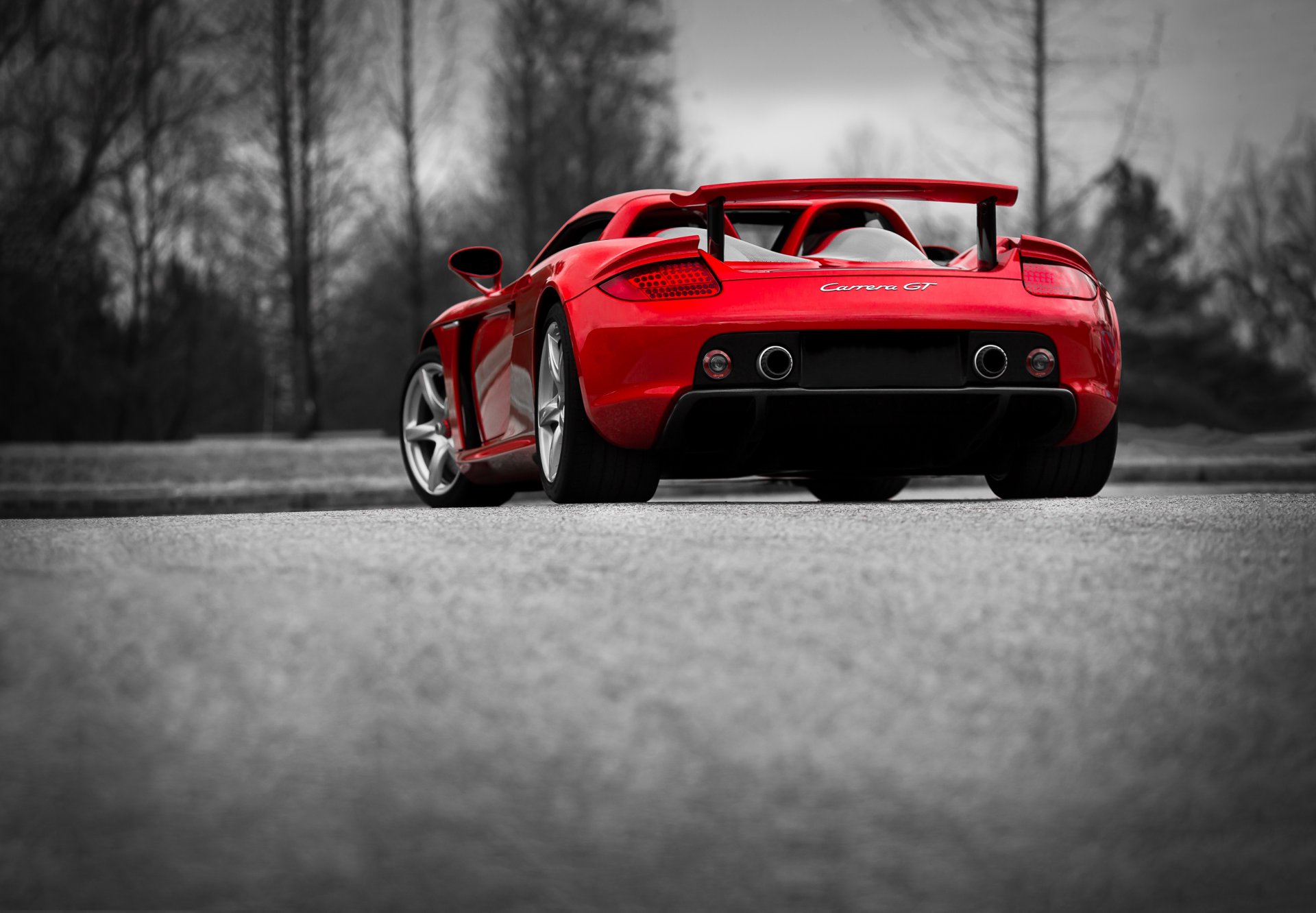 porsche carrera gt rouges arrière