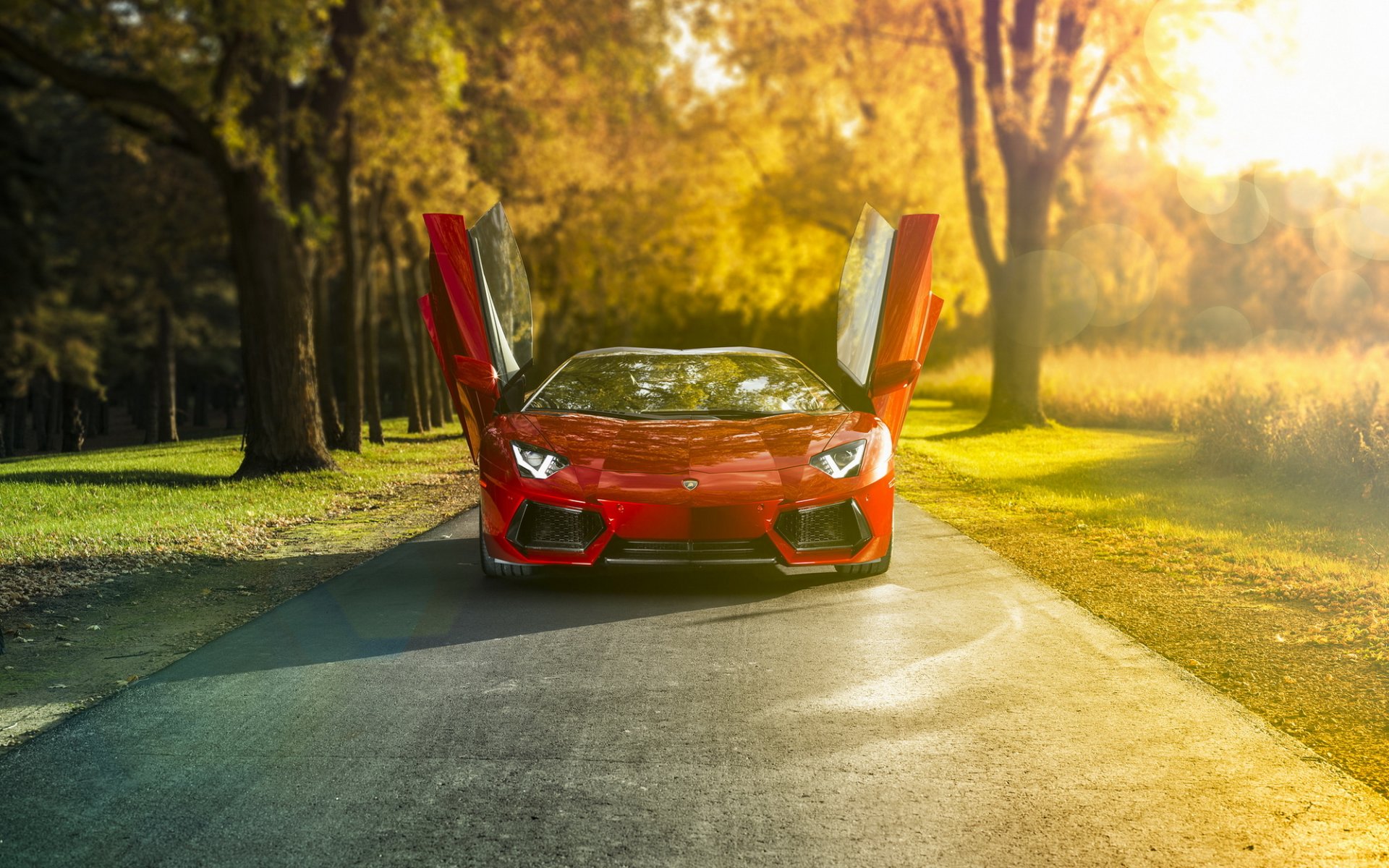 lamborghini aventador lp-700-4 roadster supersamochód lamborghini fototapeta lambo