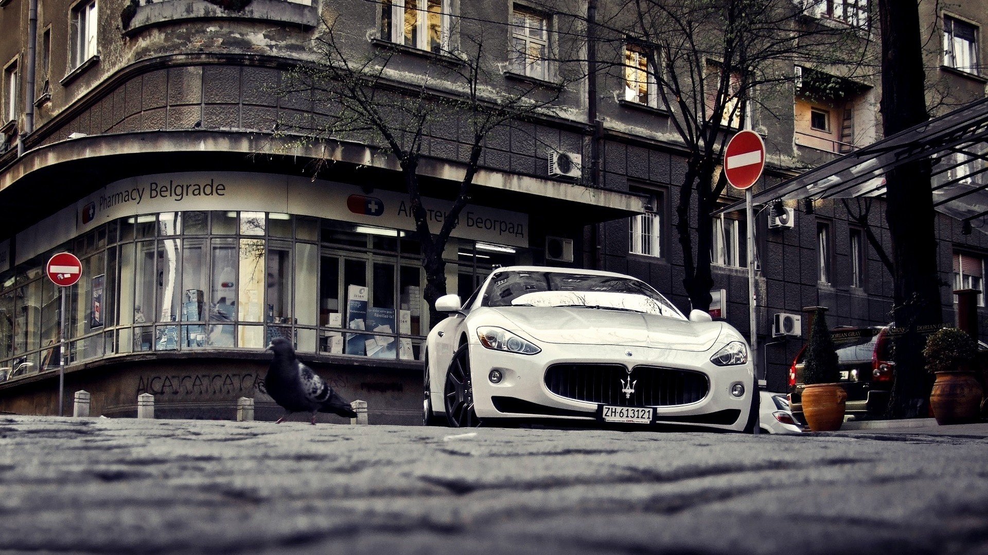 maserati granturismo biały maserati biały sportowy