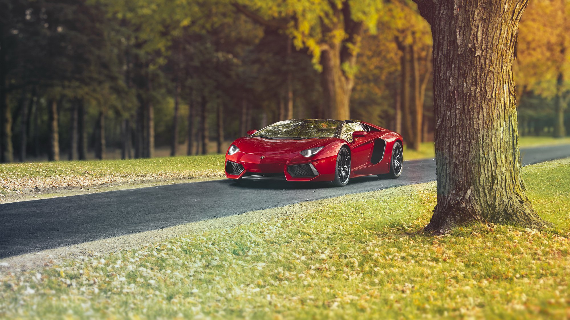 lamborghini aventador lp-700-4 roadster supercar lamborghini papier peint auto hq fond d écran