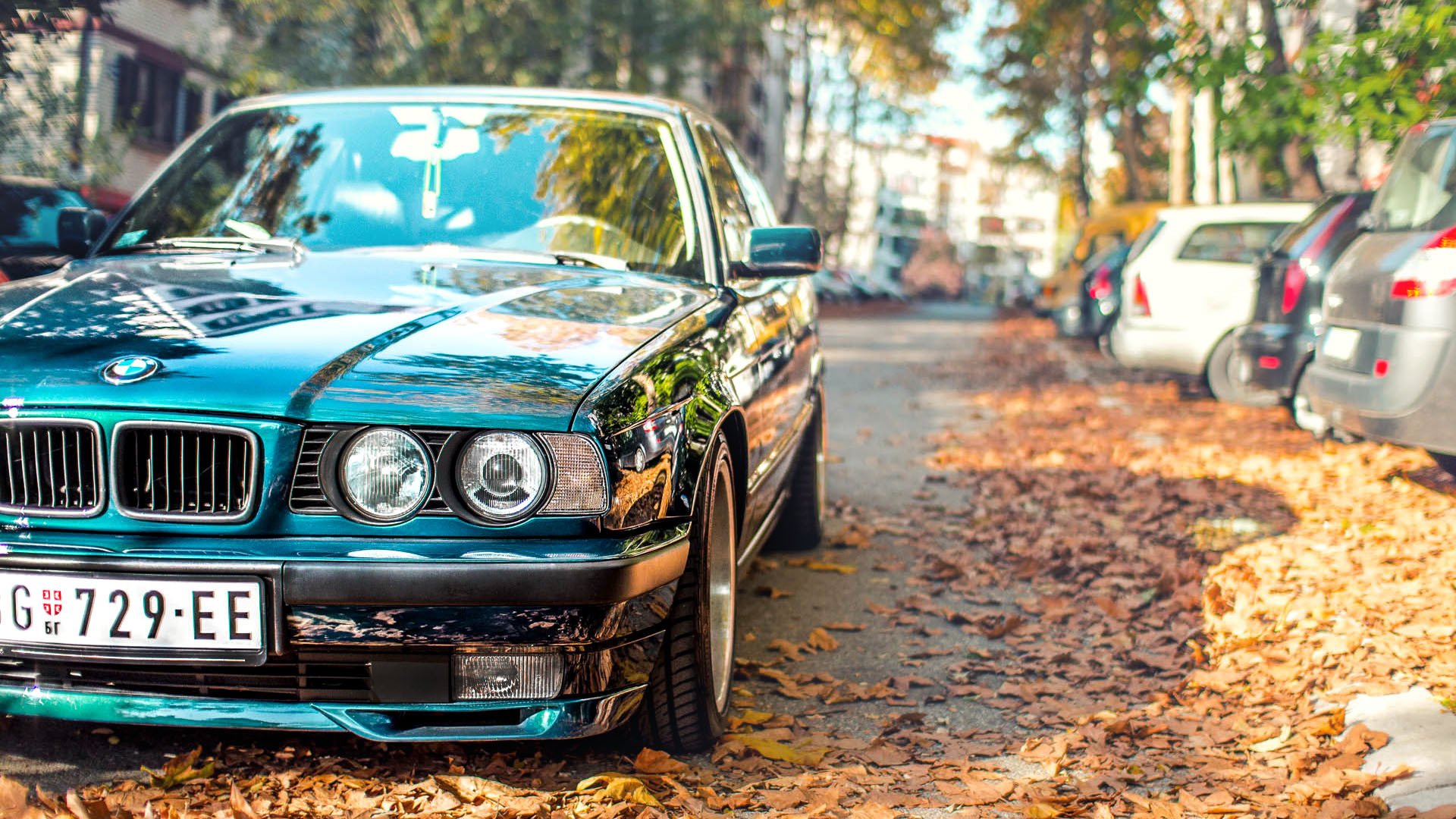 bmw e34 tuning jesień liście