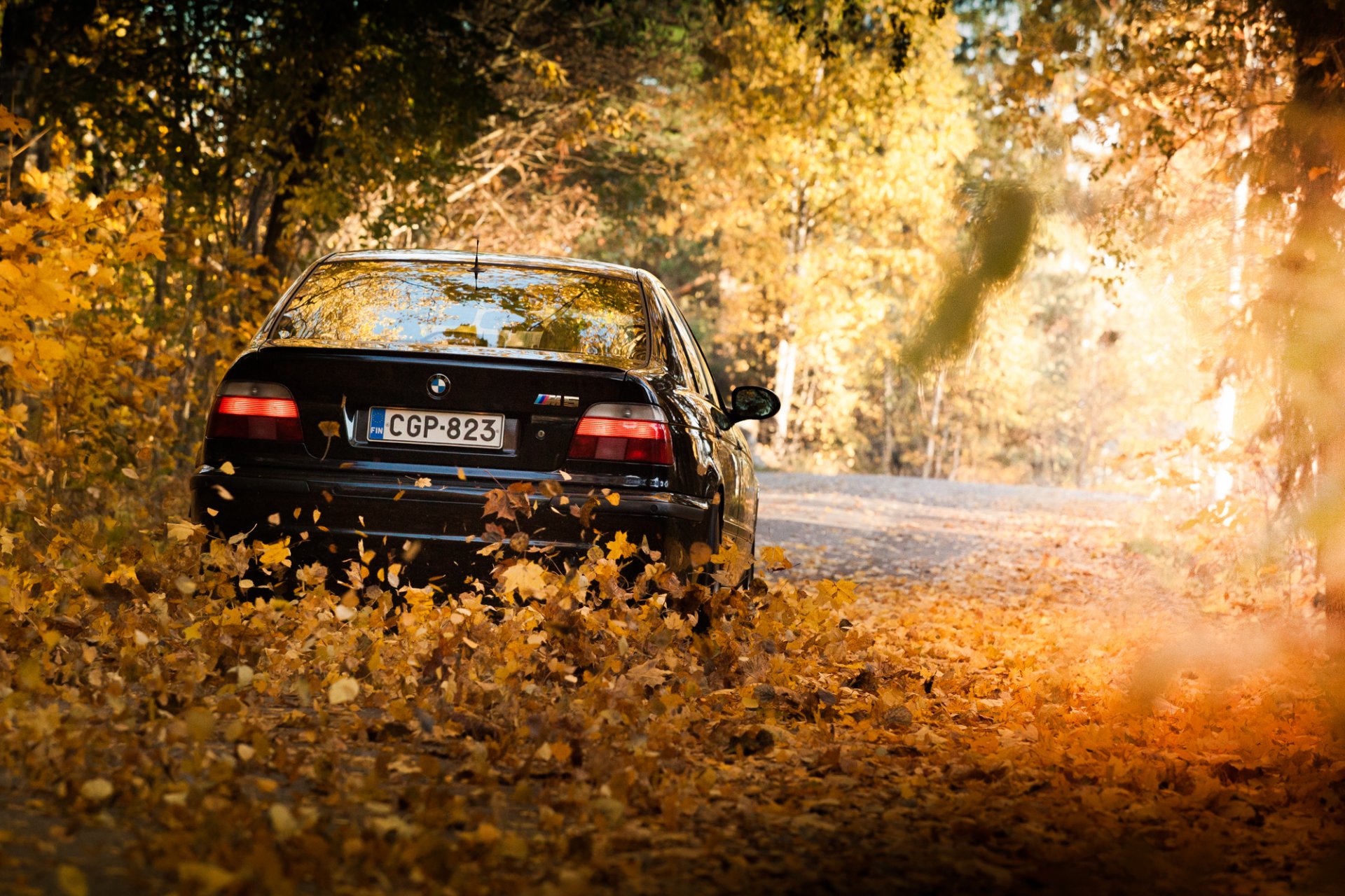 bmw e39 m5 czarny bmw reflektory liście jesień