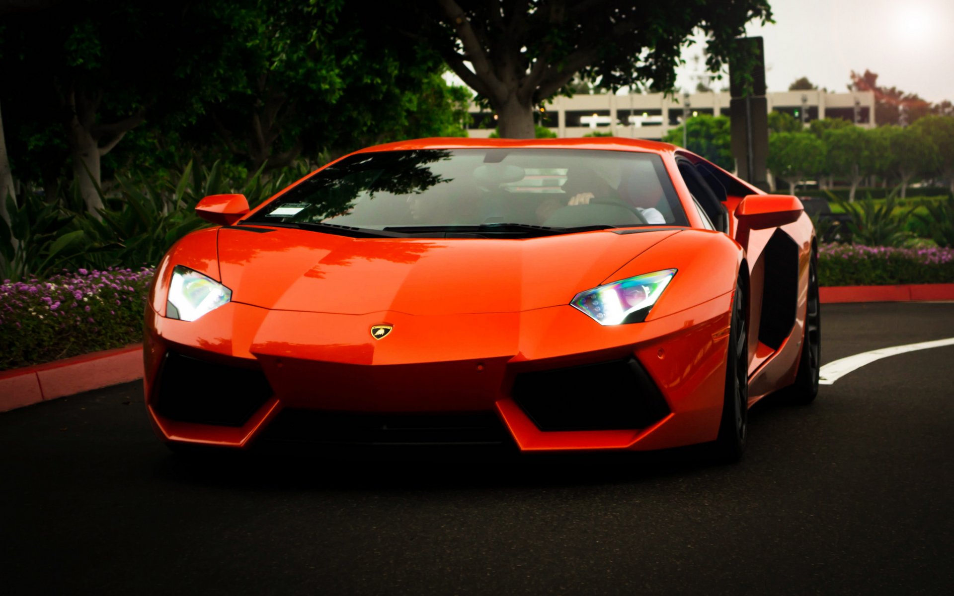 lamborghini aventador lp700-4 orange lamborghini aventador avant phare arbres réflexion