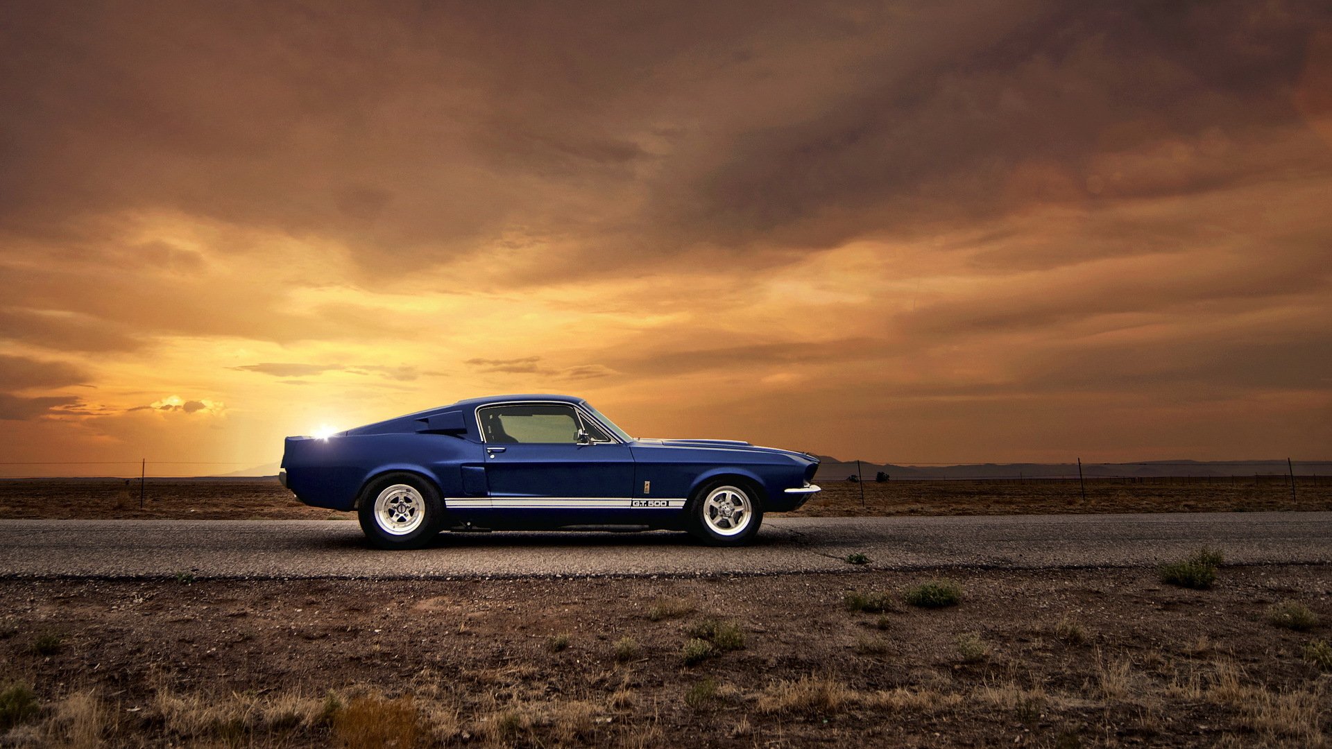 ford mustang gt500 coche del músculo ford coche auto fondos de pantalla puesta del sol