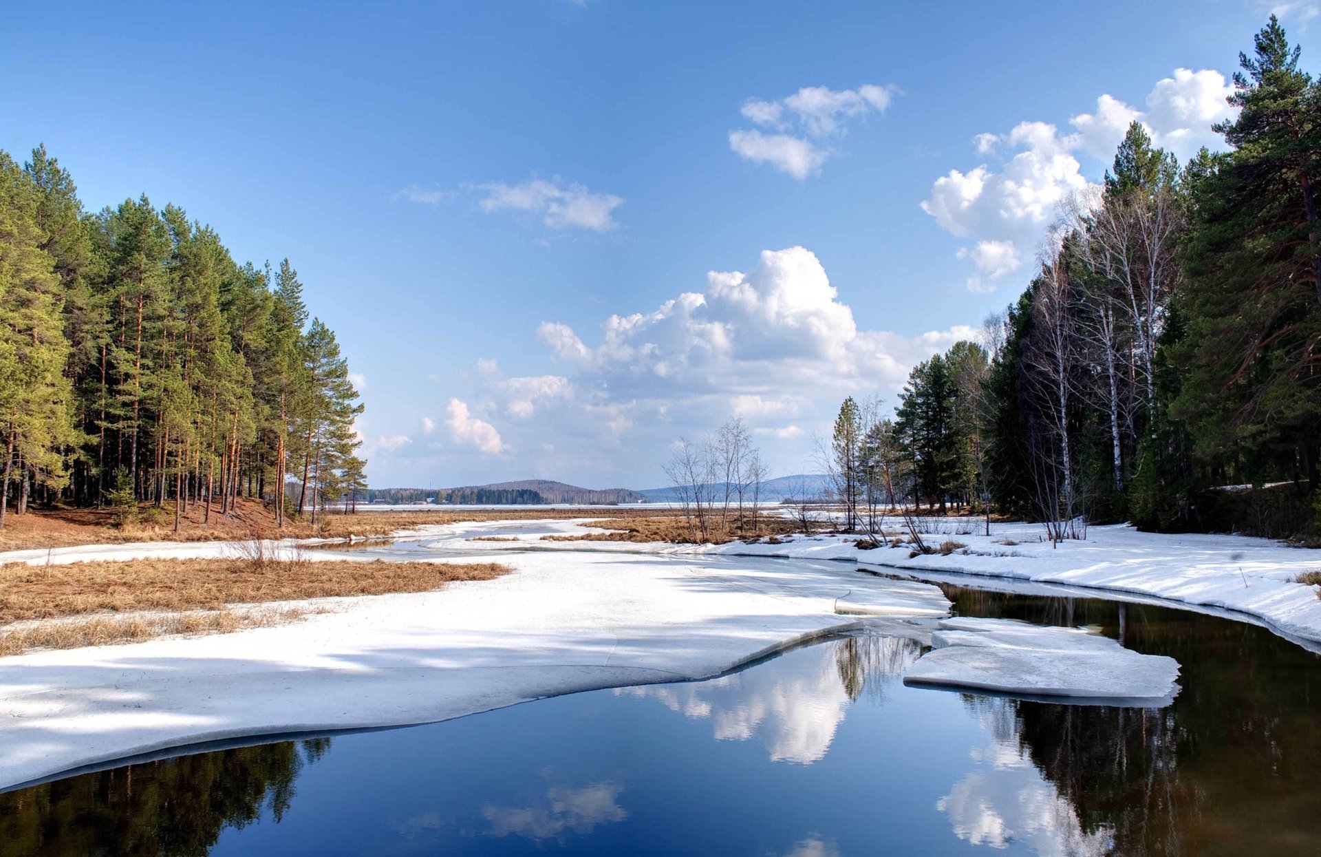 nature snow water forest tree lake landscape winter pond