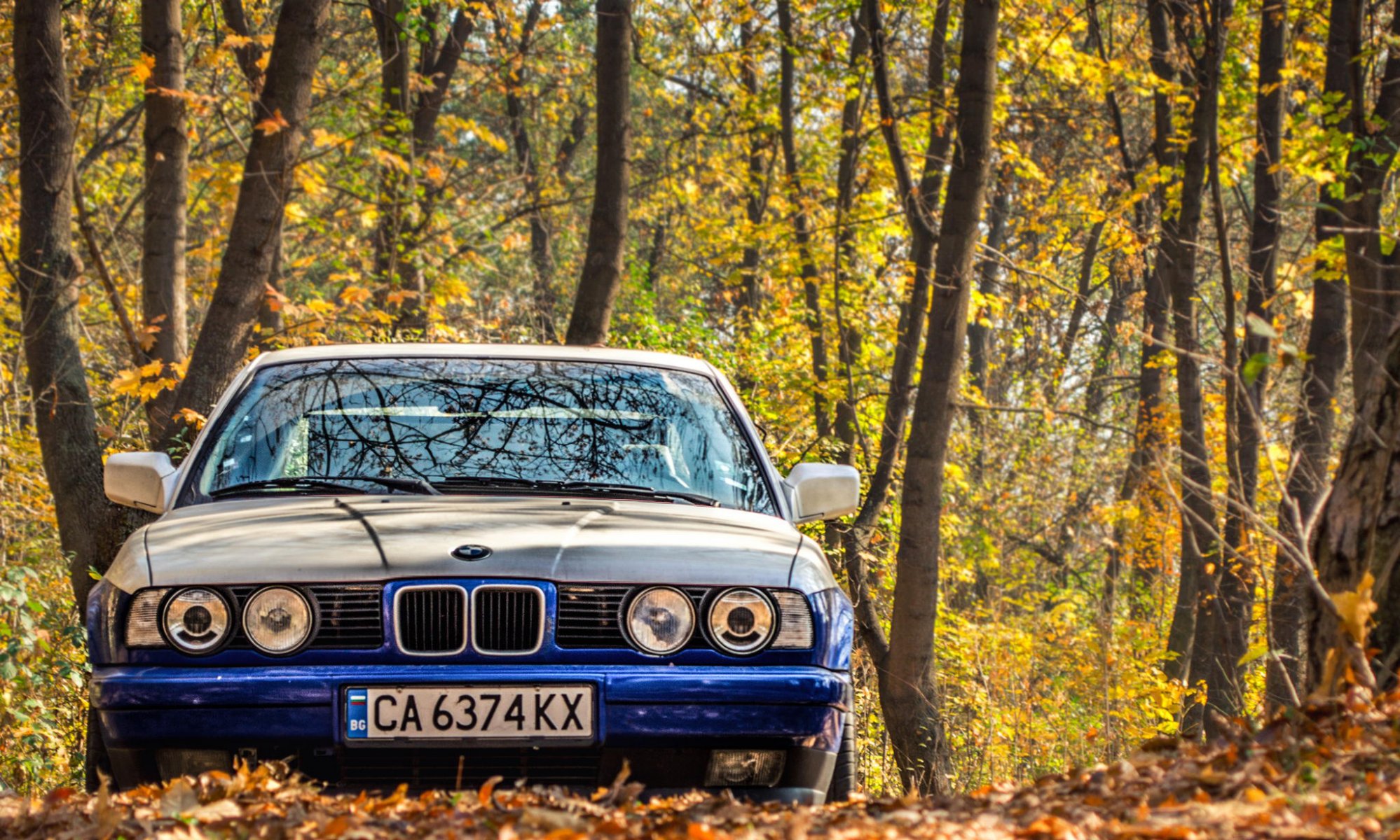 bmw e34 бмв классика тюнинг листья осень фары