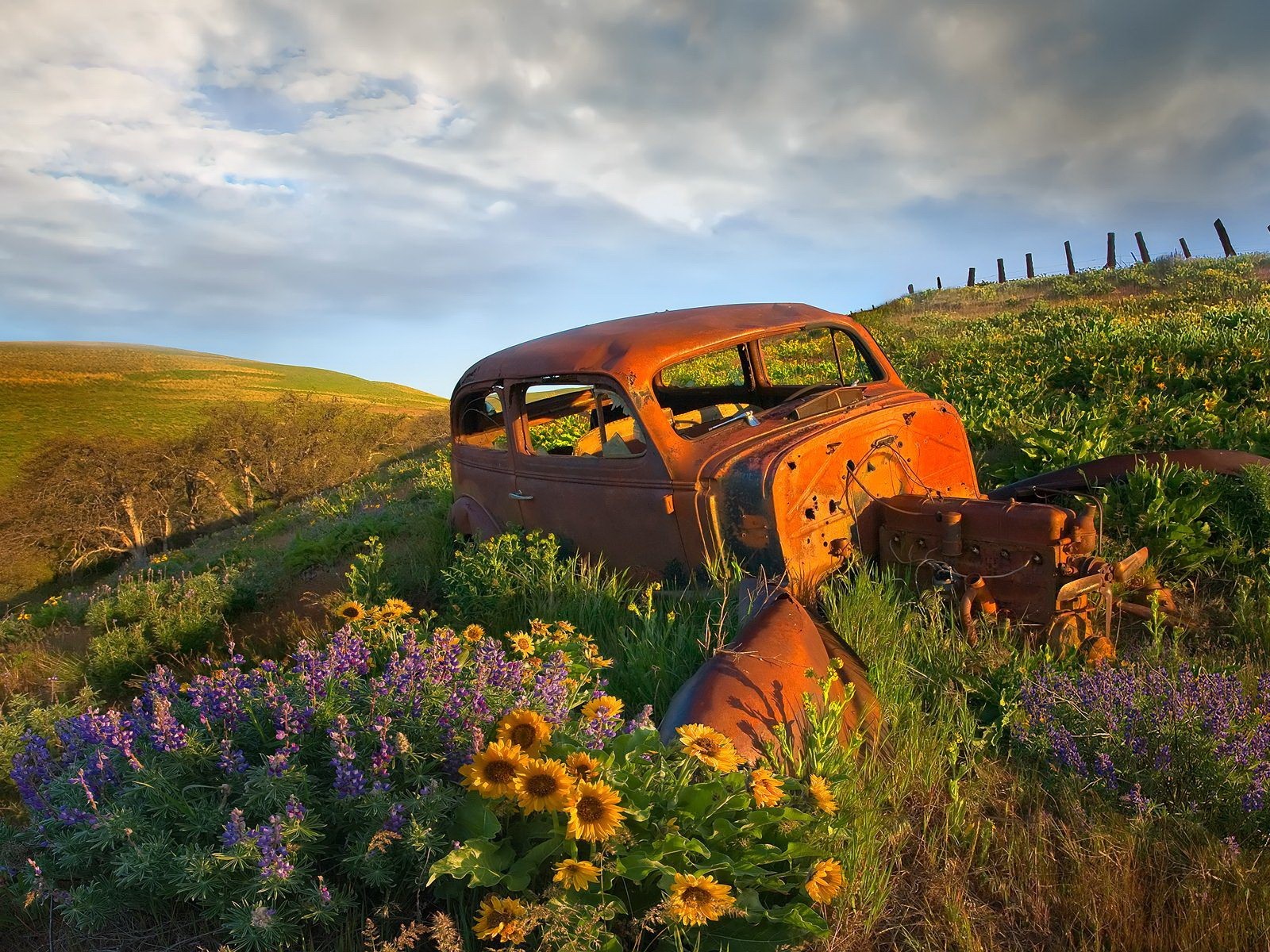 mort voiture fleurs