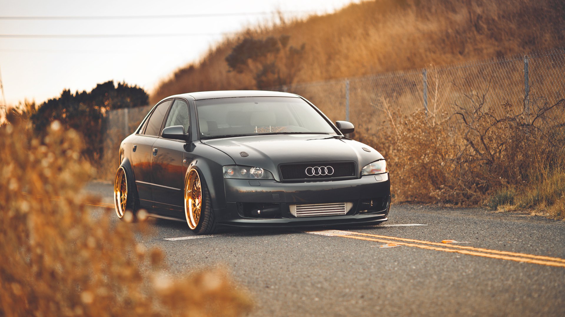 audi a4 audi otoño oro