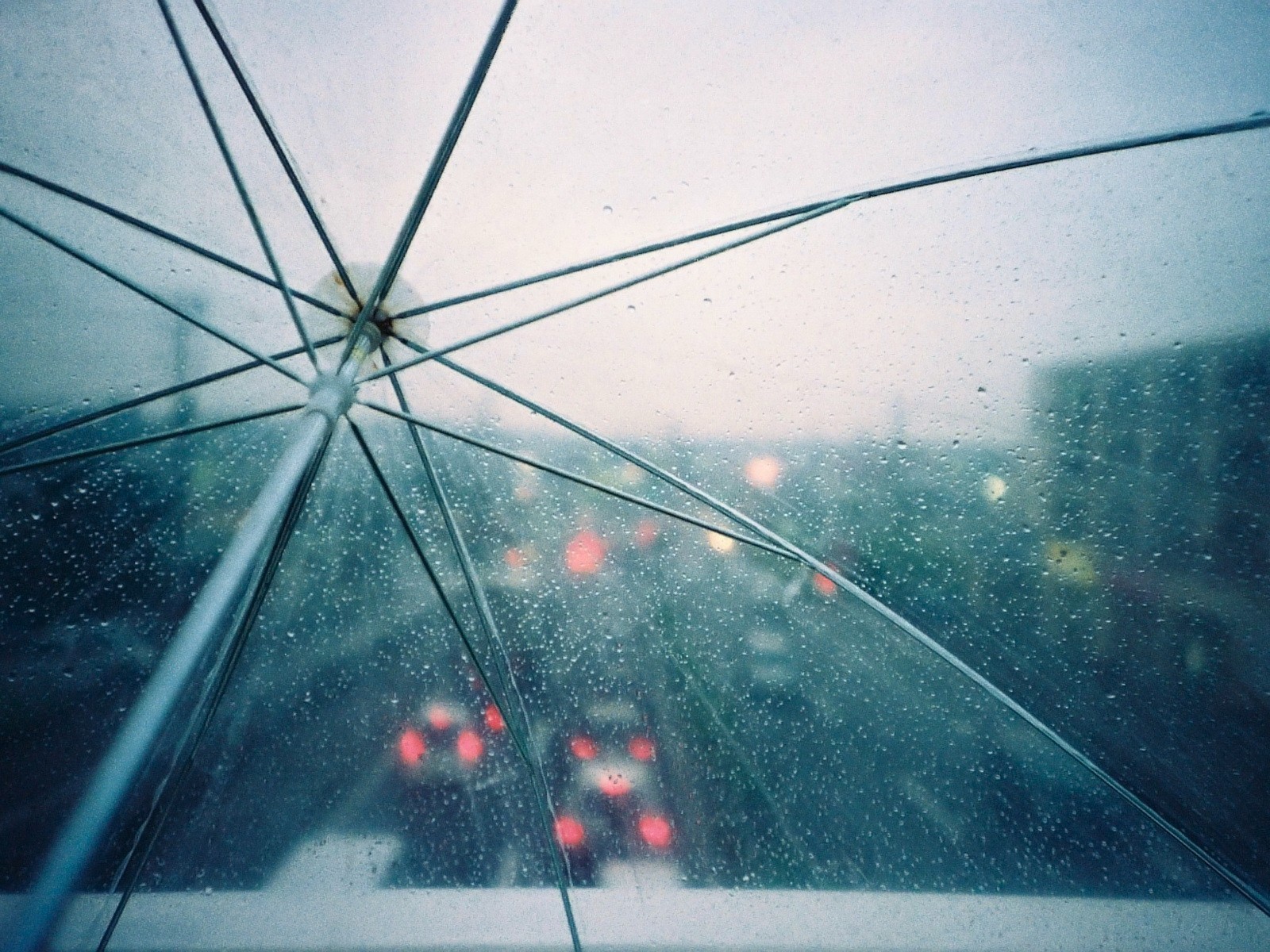 umbrella drops rain light