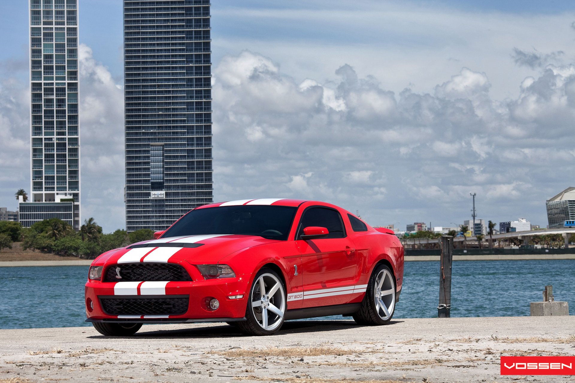 ford auto coche shelby cobra gt500