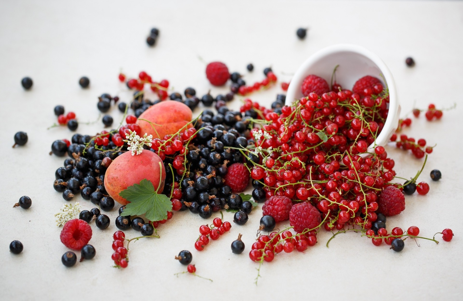 abricots baies framboises groseilles