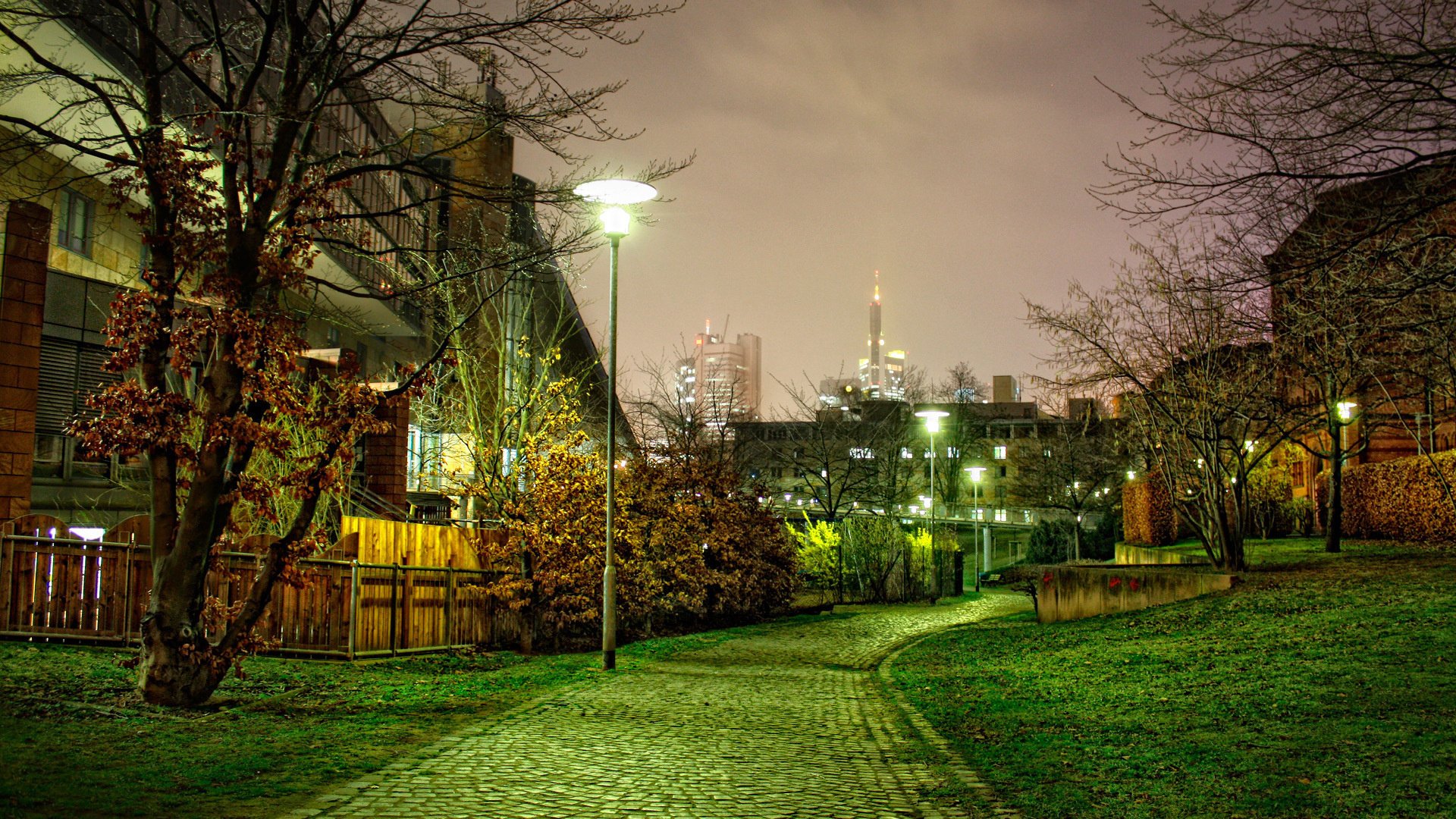 naturaleza calle nocturna paisaje camino árboles