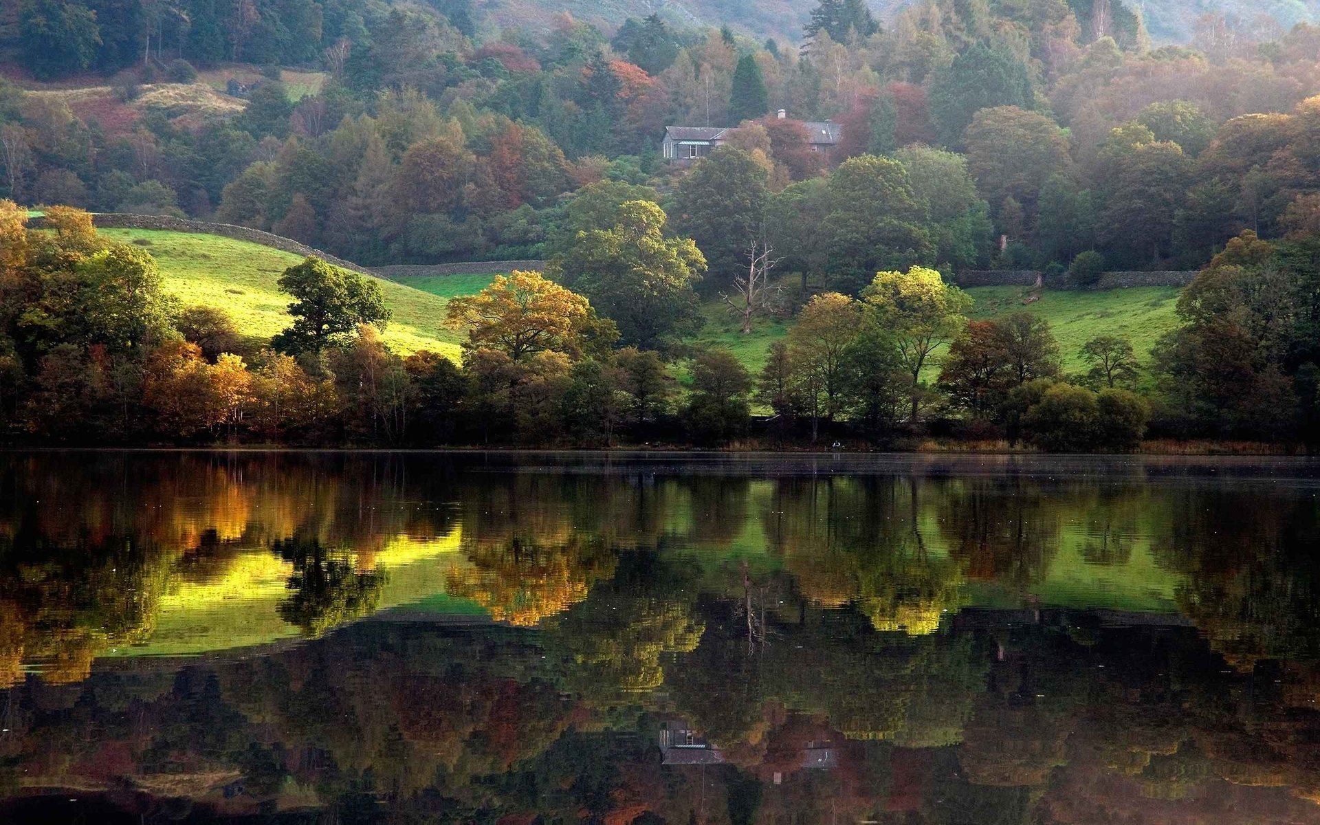 nature house trees landscape forest river shore