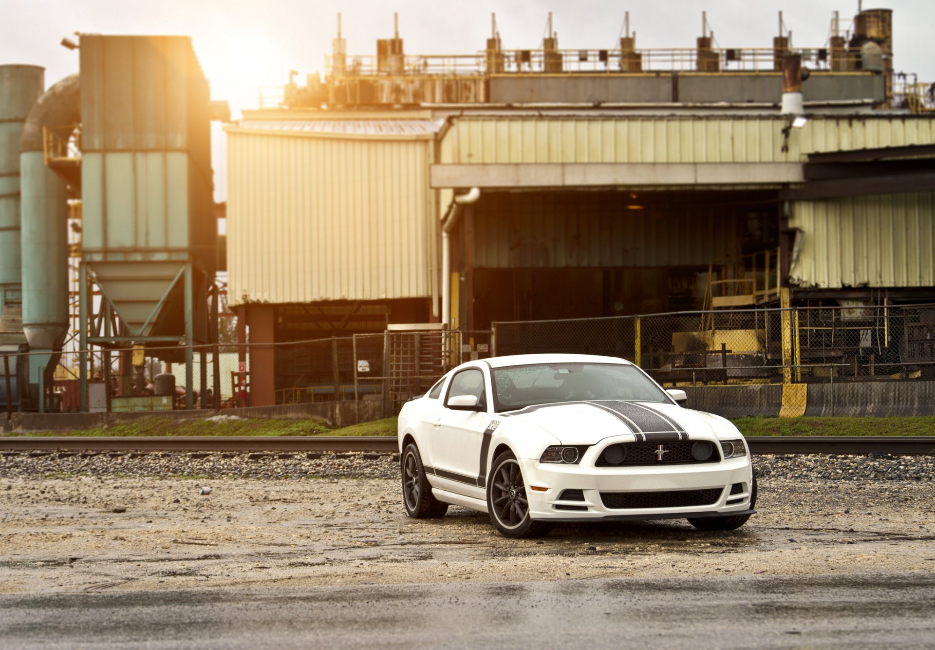 ford mustang boss 302 biały muscle car muscle car sportowe paski odblask