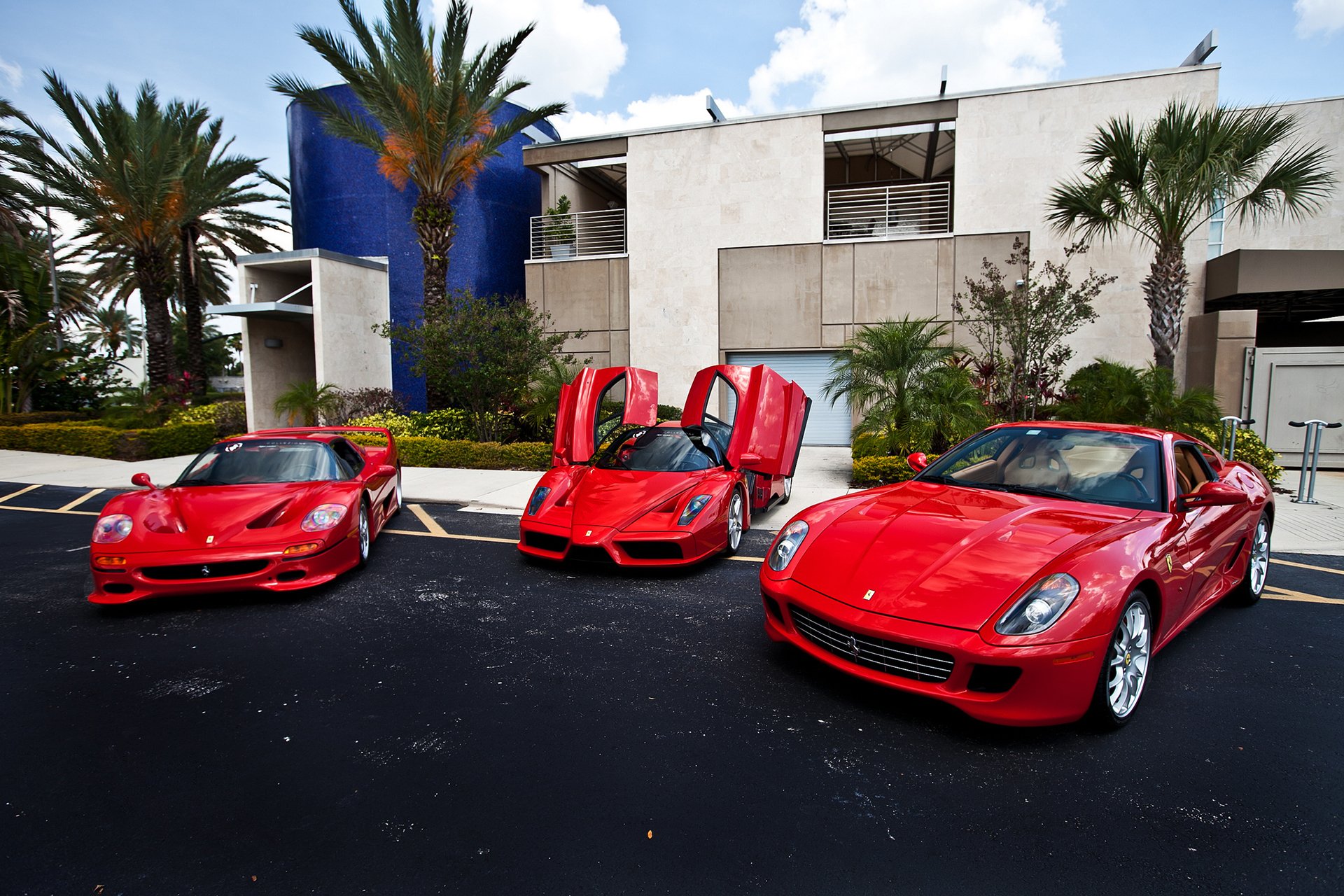 ferrari f50 enzo czerwony budynek palm ferrari czerwony palmy