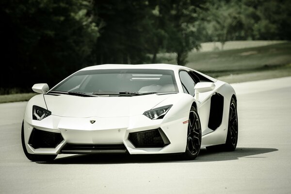 White Lamborghini aventador rides on the road