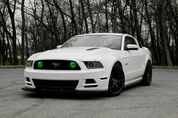 On an autumn street with bare trees, a white Ford Mustang