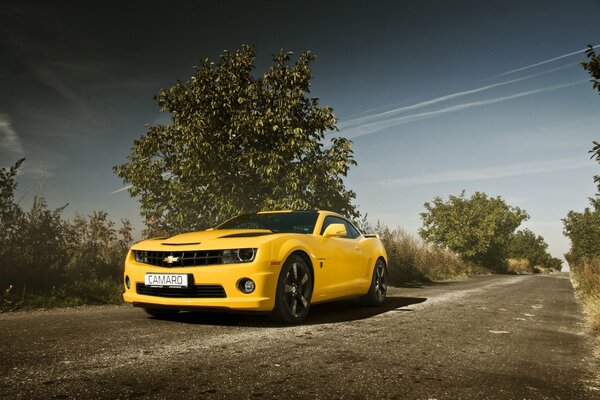 Gelber Chevrolet camaro fährt auf einer verlassenen Straße