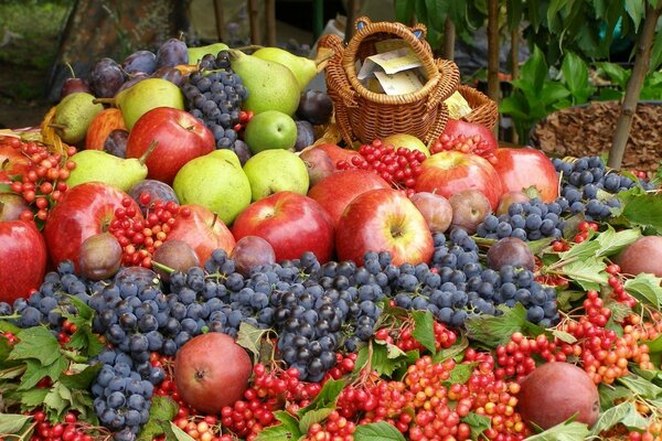 Fruit and berry harvest on the street