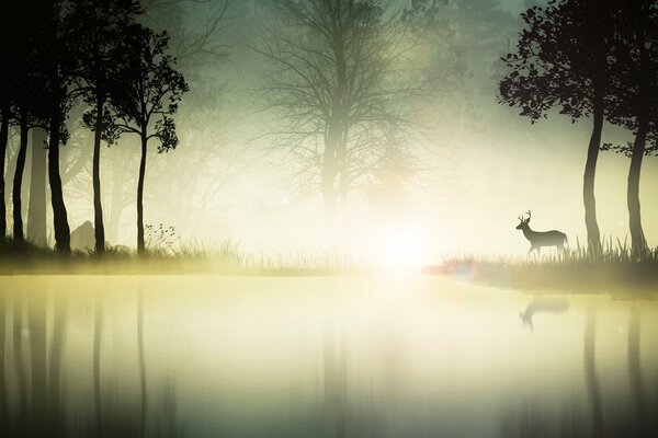 Magischer Morgen am nebligen See