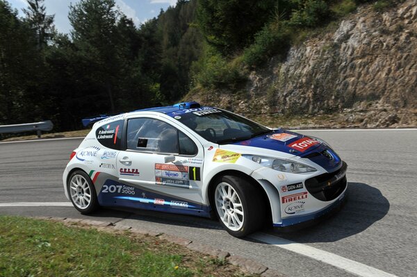 Peugeot Rally con la etiqueta de red Bull