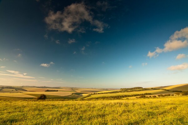 Clouds over a summer field and trees