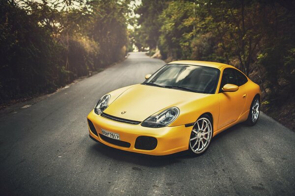 Amarillo porsche carrera en el bosque de verano