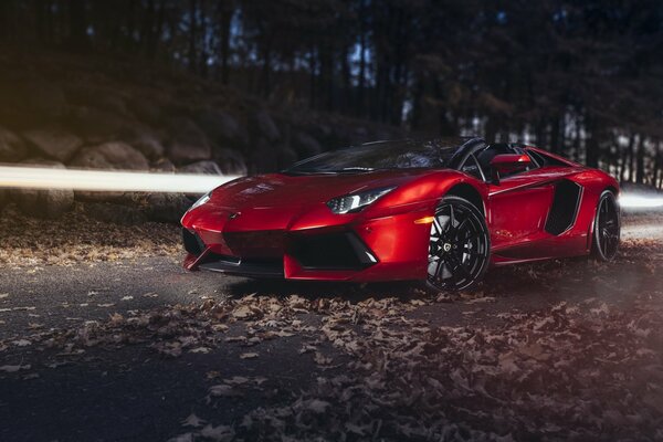 Roter Lamborghini auf Herbst Straße Hintergrund