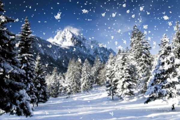 Schneefall im verschneiten Wald in den Bergen