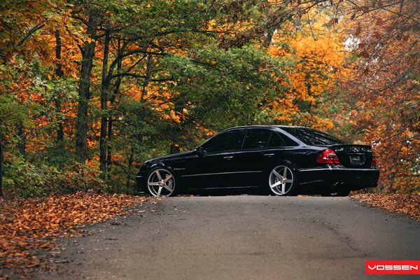 Mercedes benz, amg, e class , fallen leaves