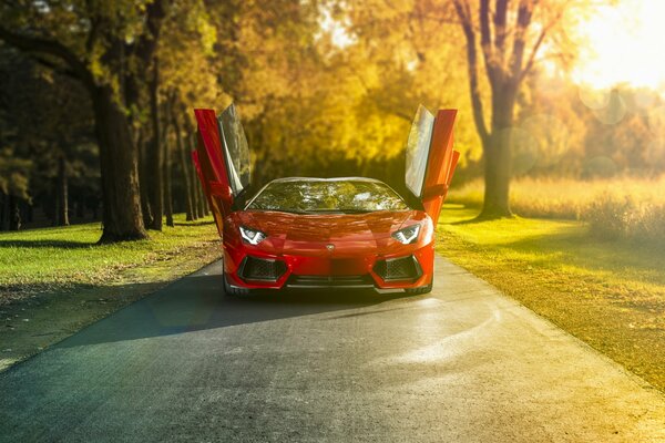 Fototapeta Lamborghini aventador lp-700 - 4