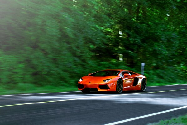 Ein schneller orange Lamborghini auf der Strecke bringt Bäume zusammen