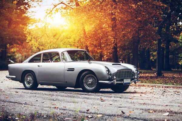 Aston Martin gris en el bosque de otoño