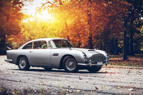 Grigio Aston Martin nella foresta d autunno