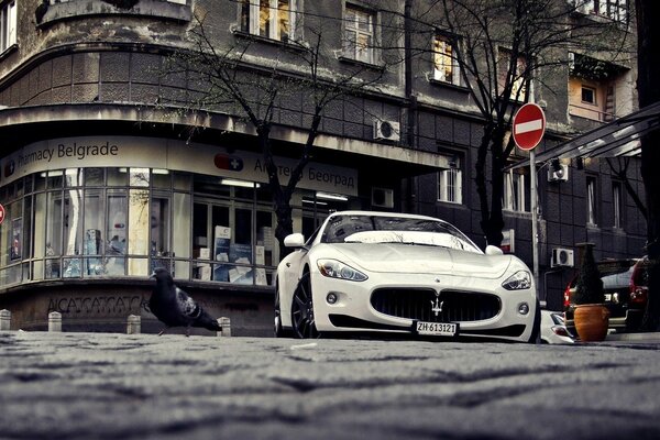 Maserati sportivo bianco sullo sfondo della città