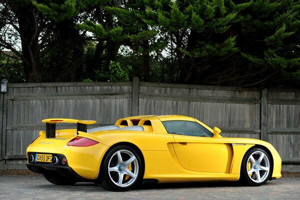 Supercar giallo Porsche su uno sfondo di verde