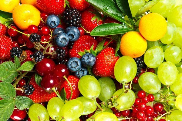 Bol de fruits pour améliorer la santé